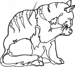 Cats 10